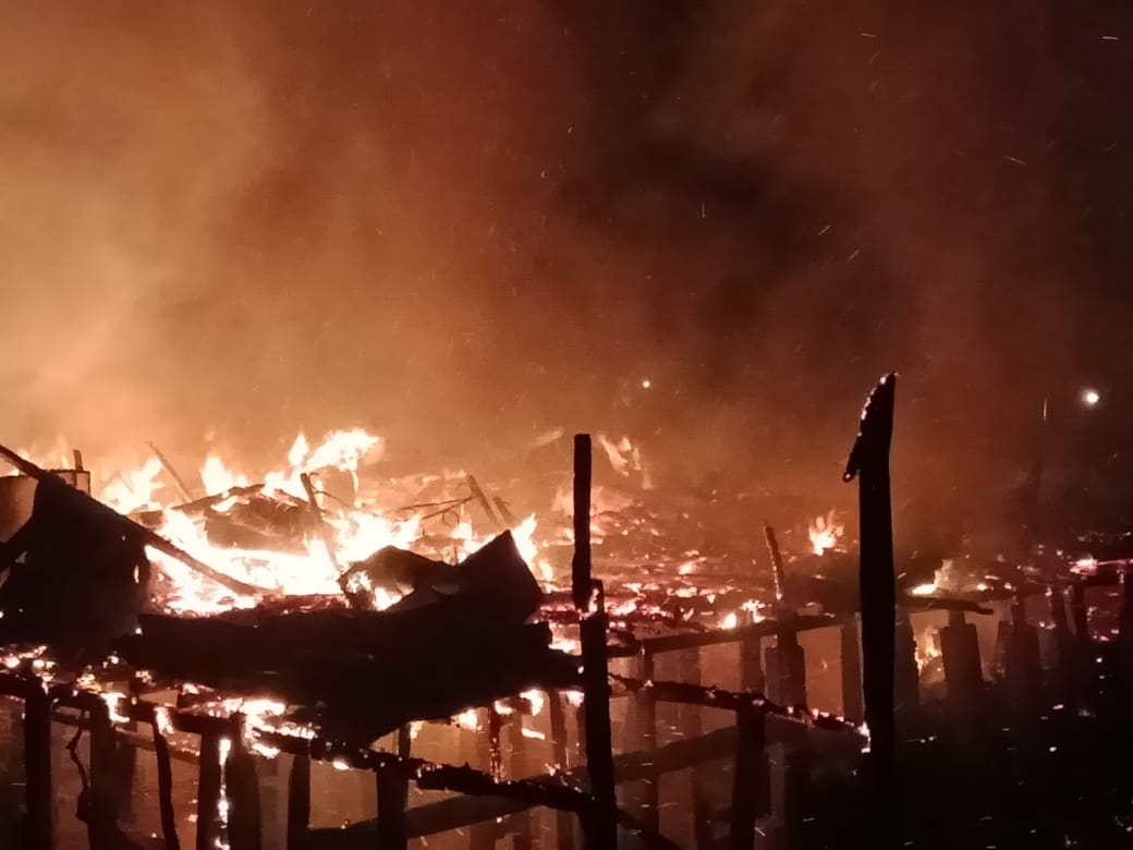  Sijago Merah Hanguskan Penginapan Mega Lestari di Teluk Meranti Pelalawan